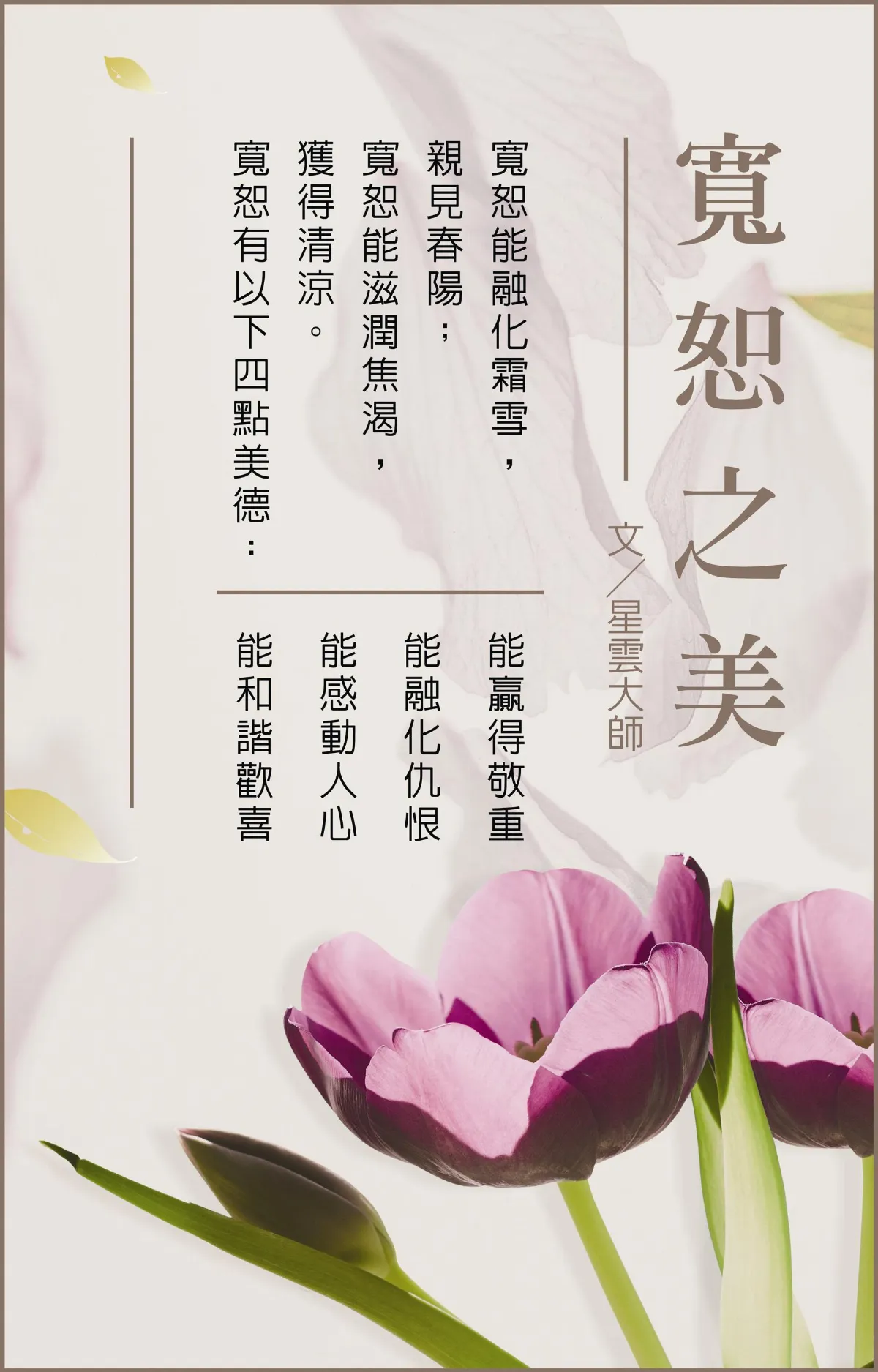 寬恕之美
