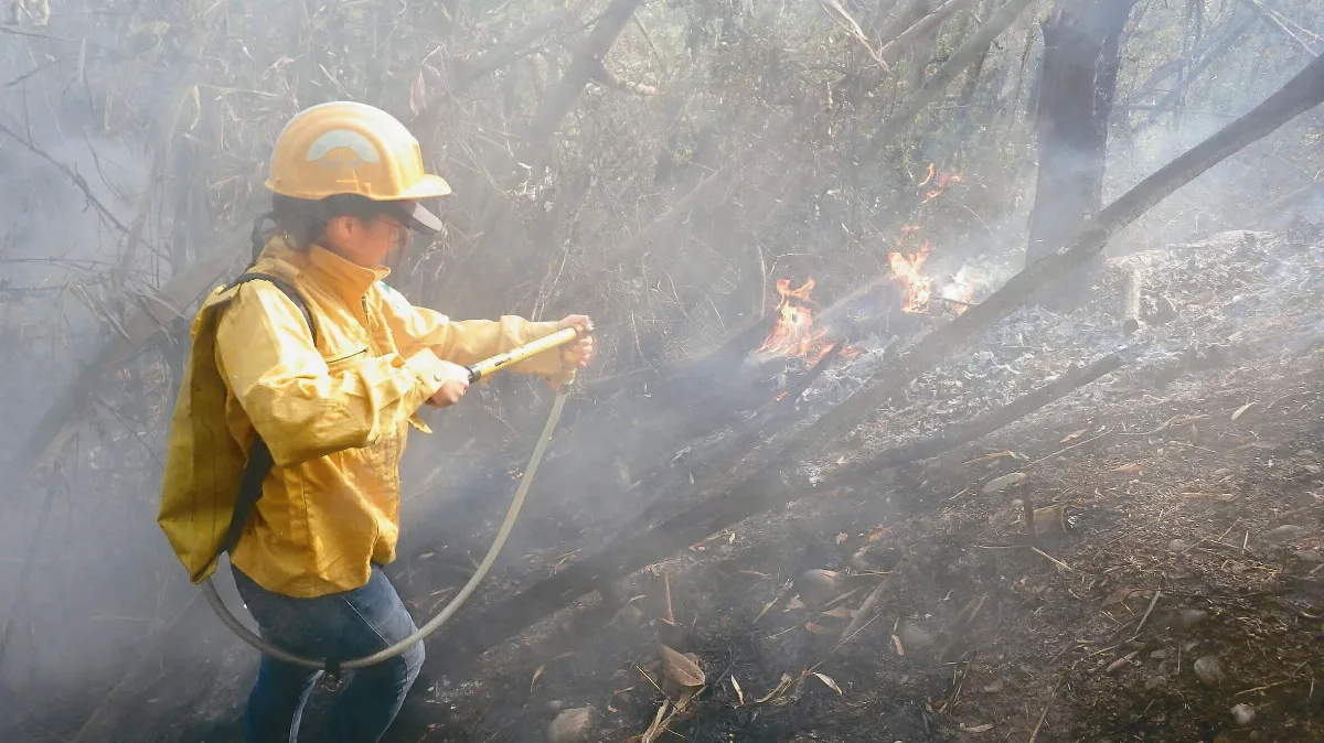 捍衛山林 洪瑞瑜衝鋒救火