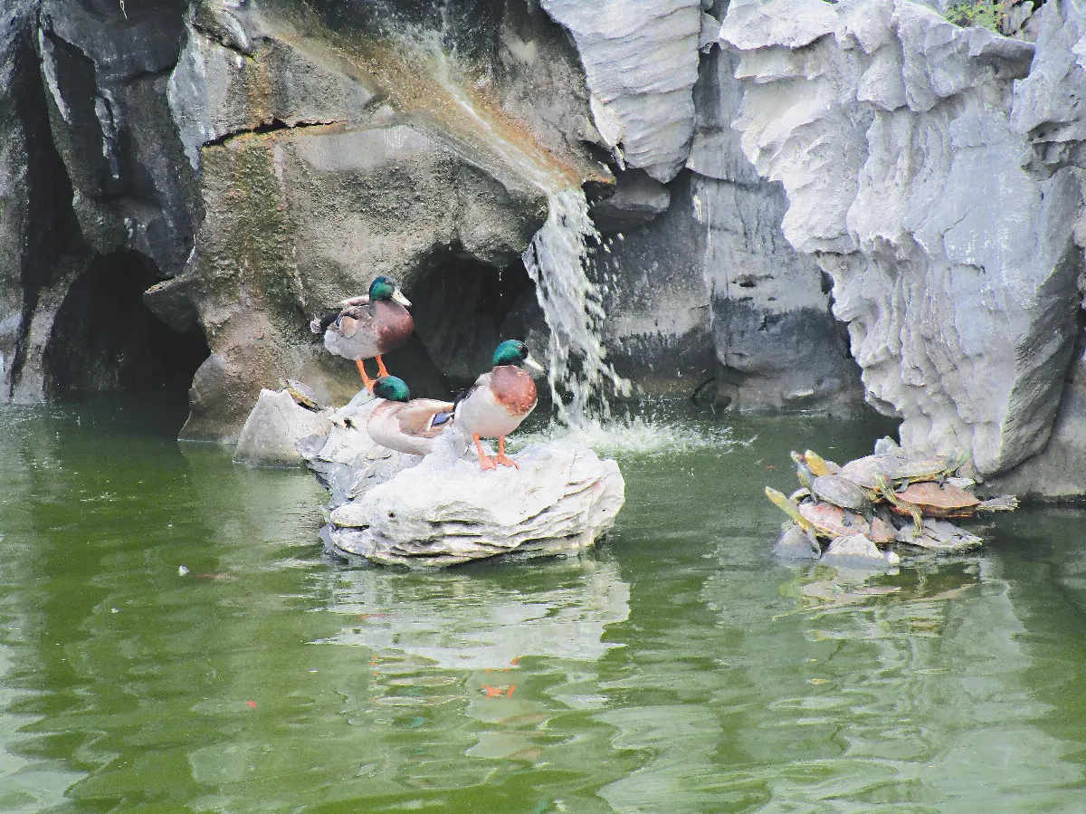 生活快門 悠閒日光浴