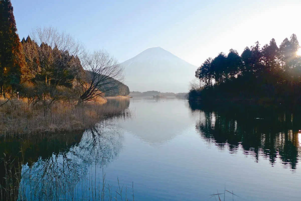 海闊天空  田貫湖富士山下的珍珠