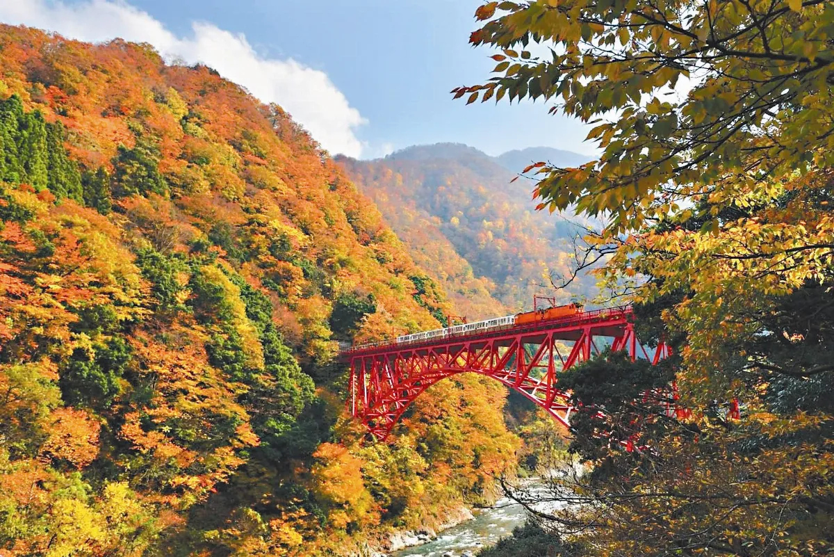 阿里山、黑部峽谷 姐妹鐵道 互惠換票