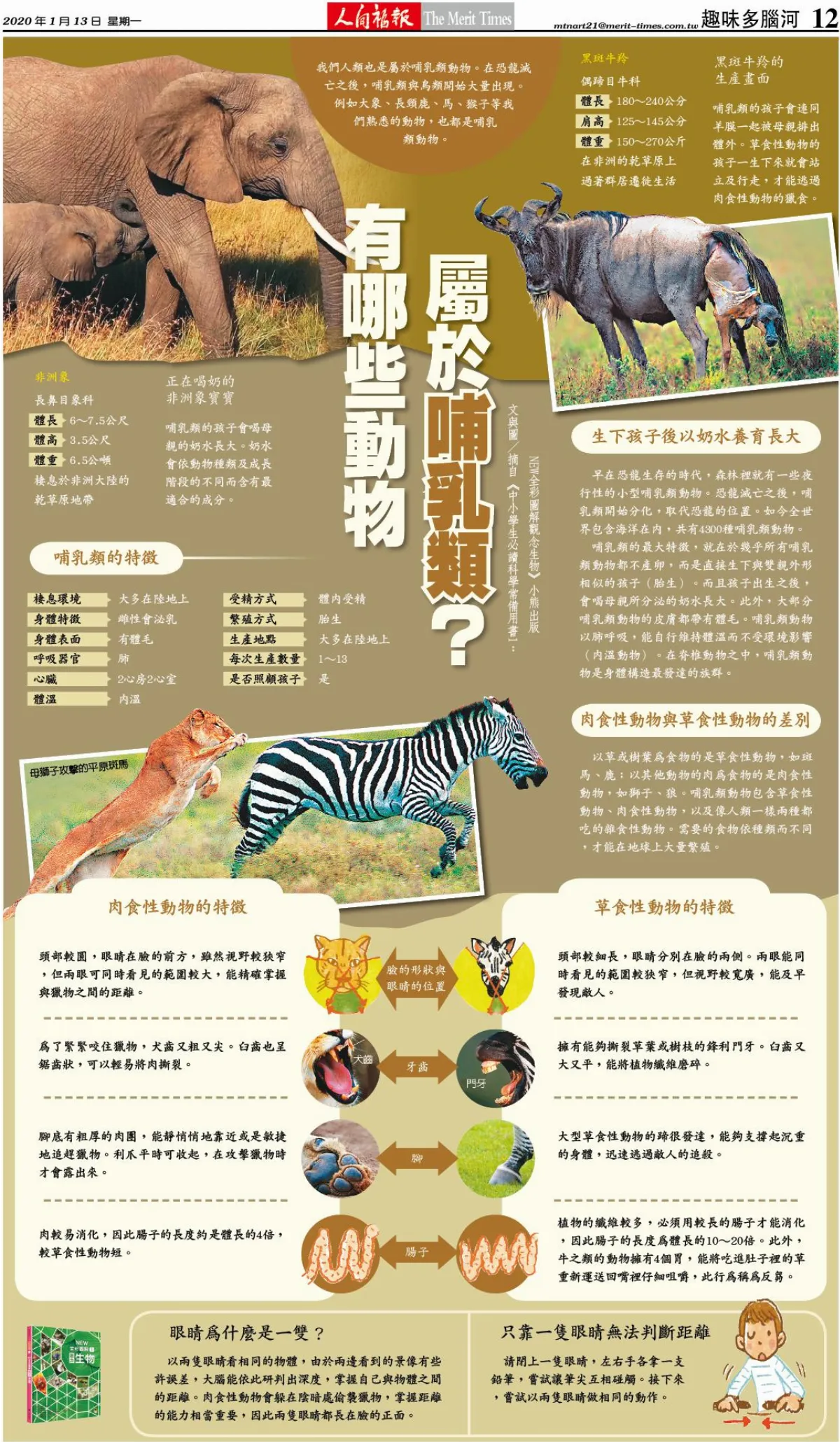 有哪些動物 屬於哺乳類？