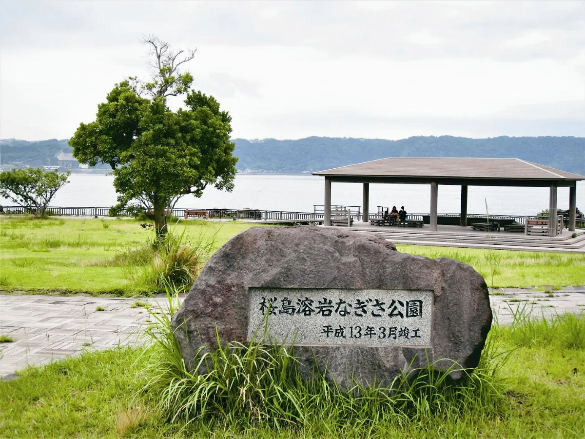 櫻島無櫻