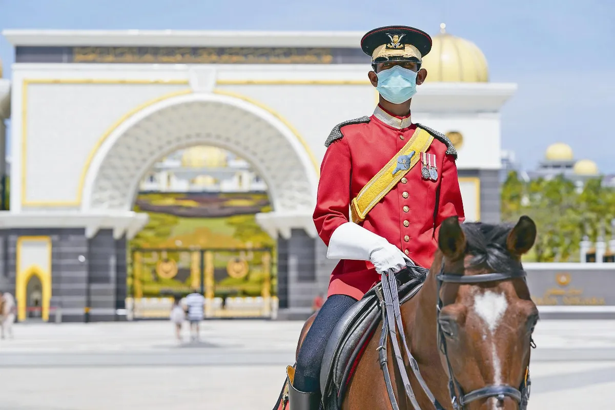 南極洲外 病毒攻占6大洲