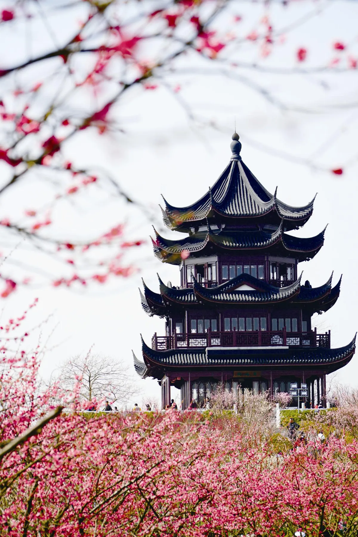 般若心經的生活觀 了解般若與心 上卷  無相布施即能波羅蜜多