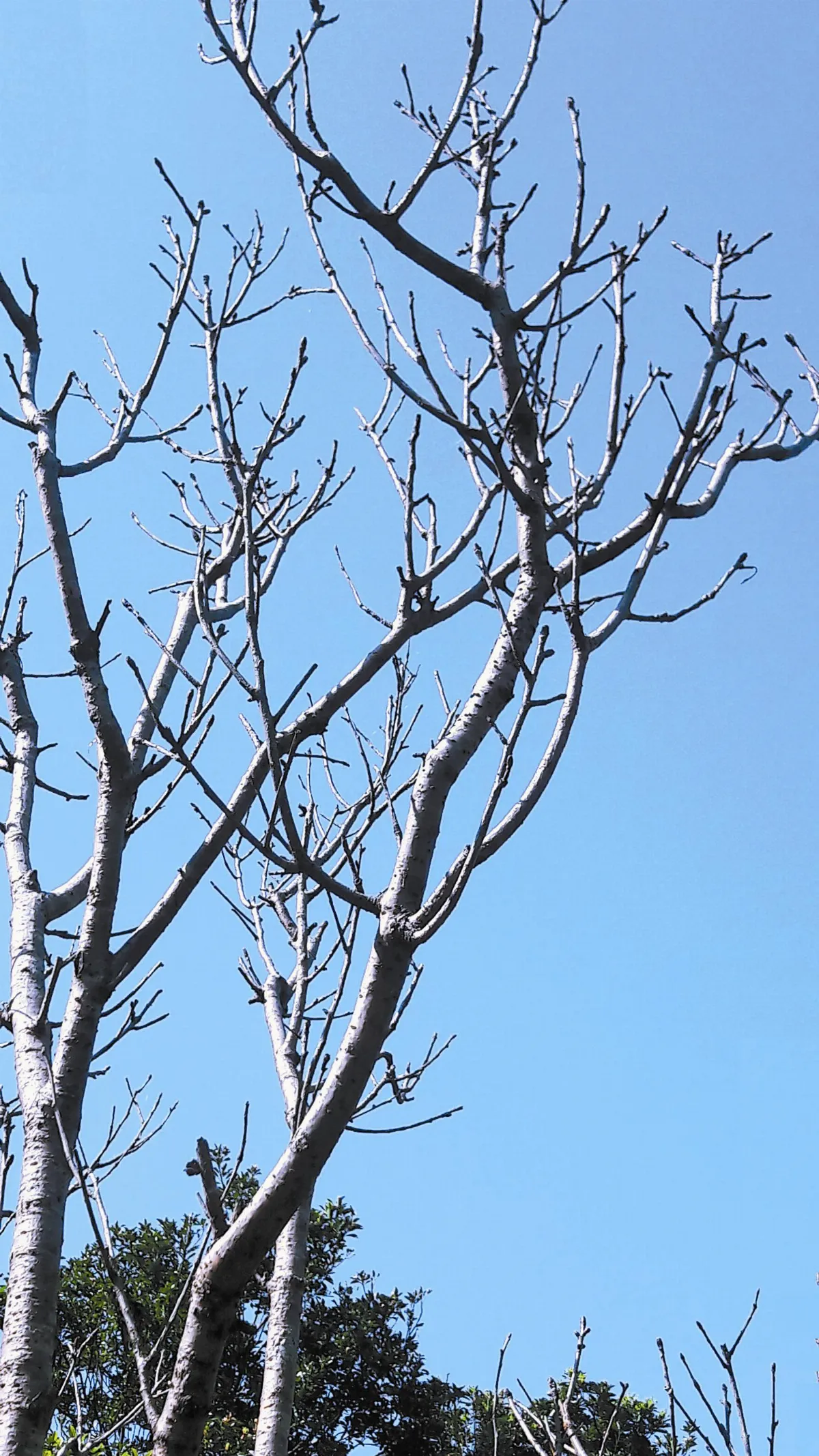 【生命書寫】 纏