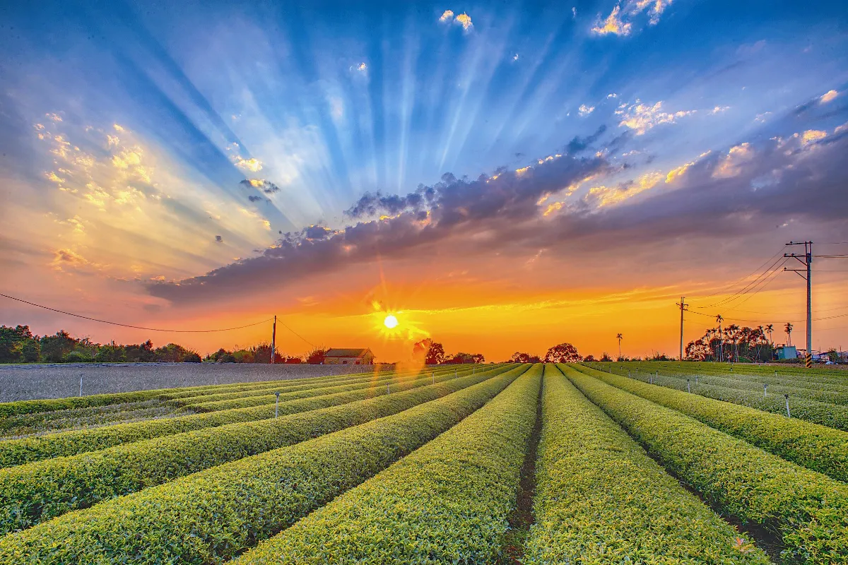 攝影風光  霞光大地