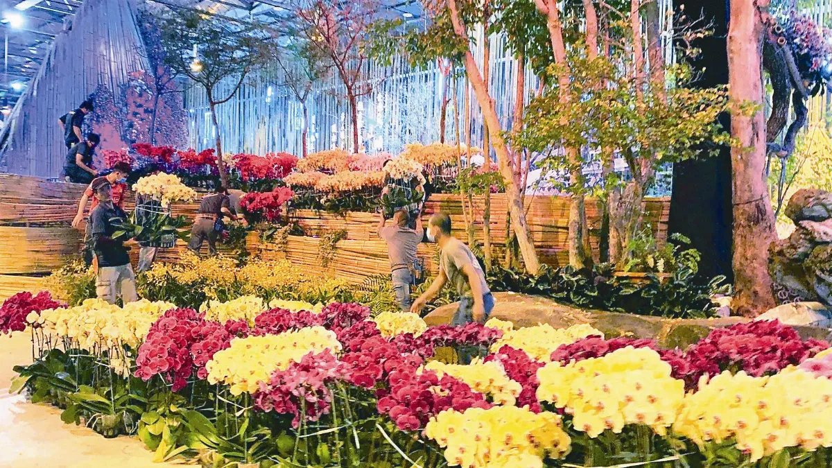 蘭展延期 台南景點遍地開花