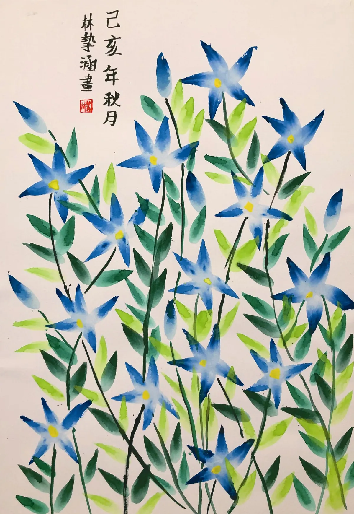 快樂塗鴉簿  藍星花