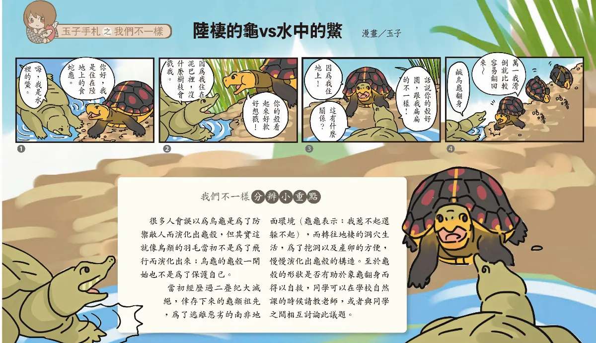 玉子手札 之 我們不一樣   陸棲的龜vs水中的鱉