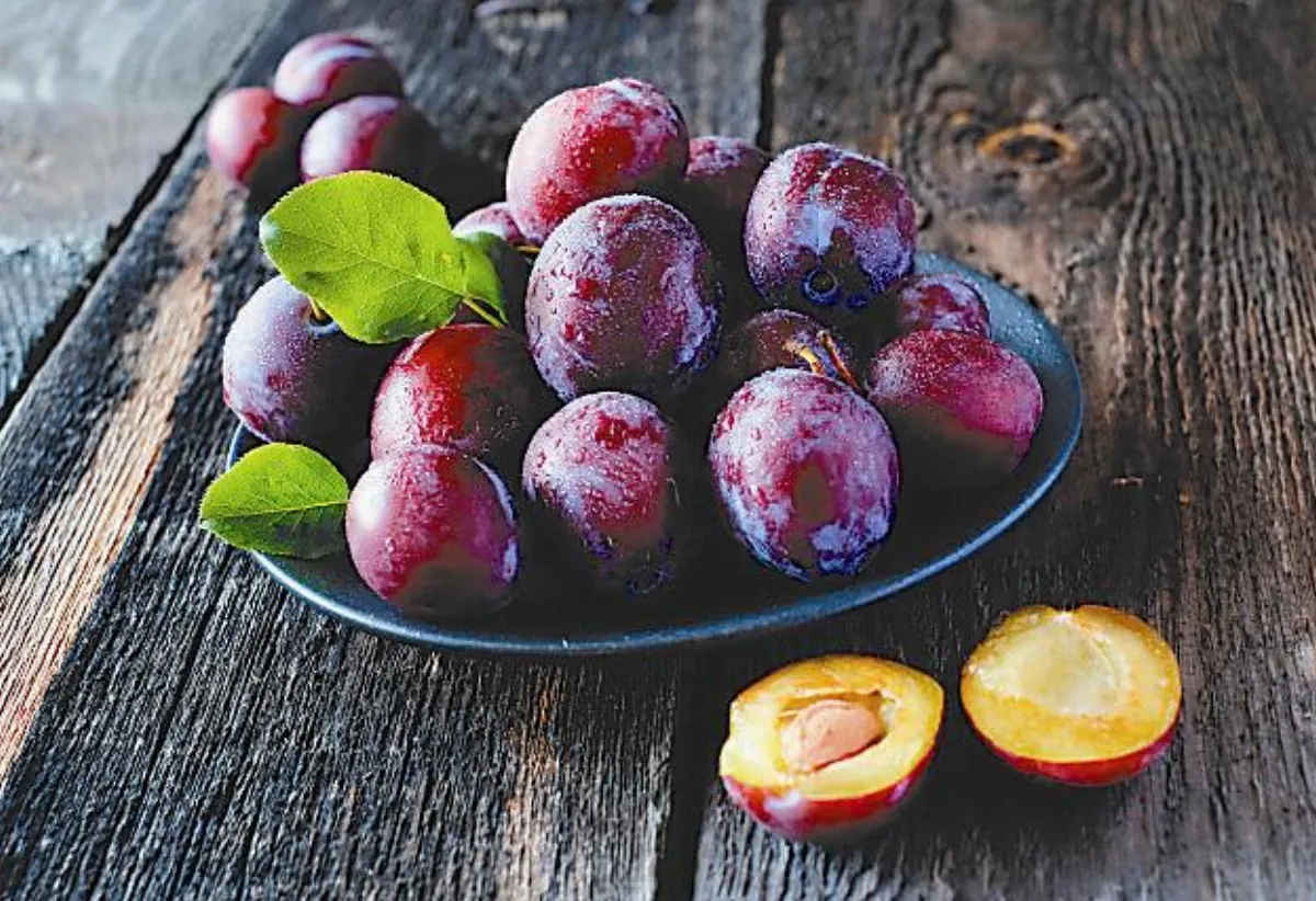 The Plum Stone李子的石頭