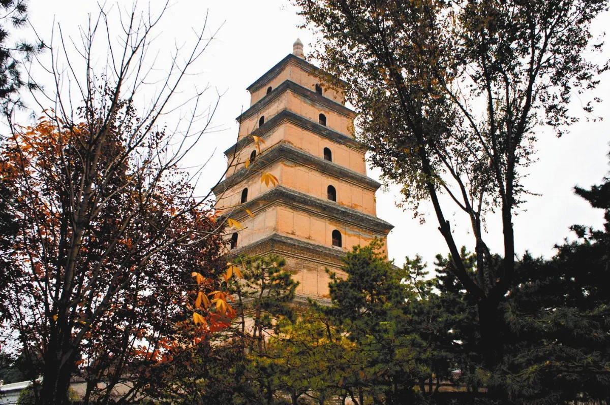 我行遲遲不 東