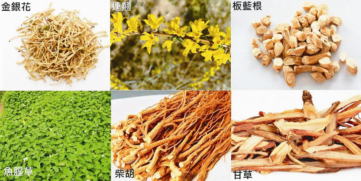 別讓肺炎找上門 中醫教你怎麼補