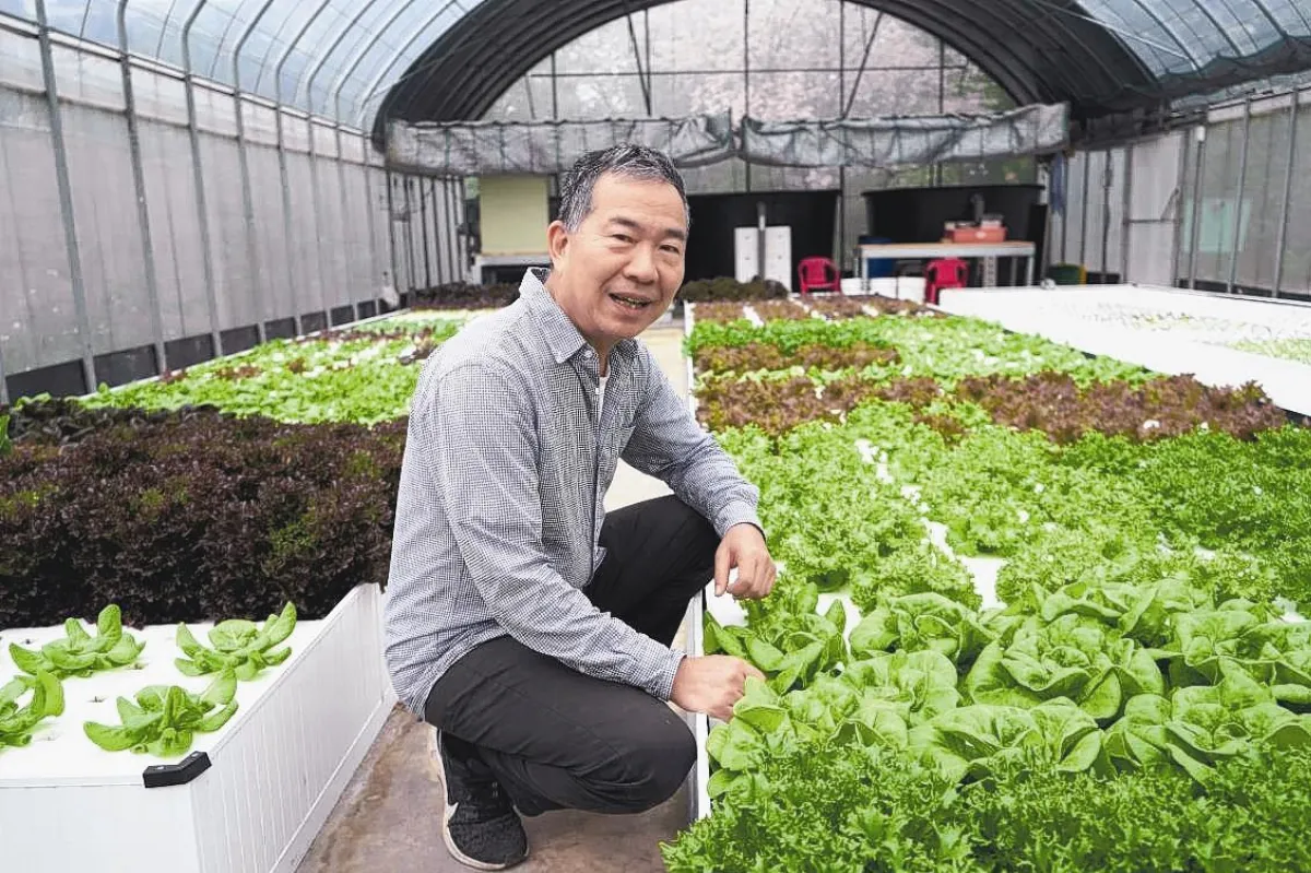 退休銀行員 開創魚菜共生農場