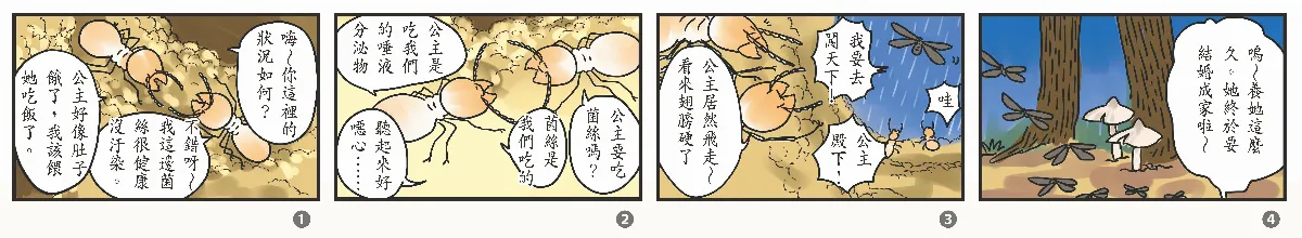 玉子手札 之 畜牧小高手 台灣土白蟻vs雞肉絲菇