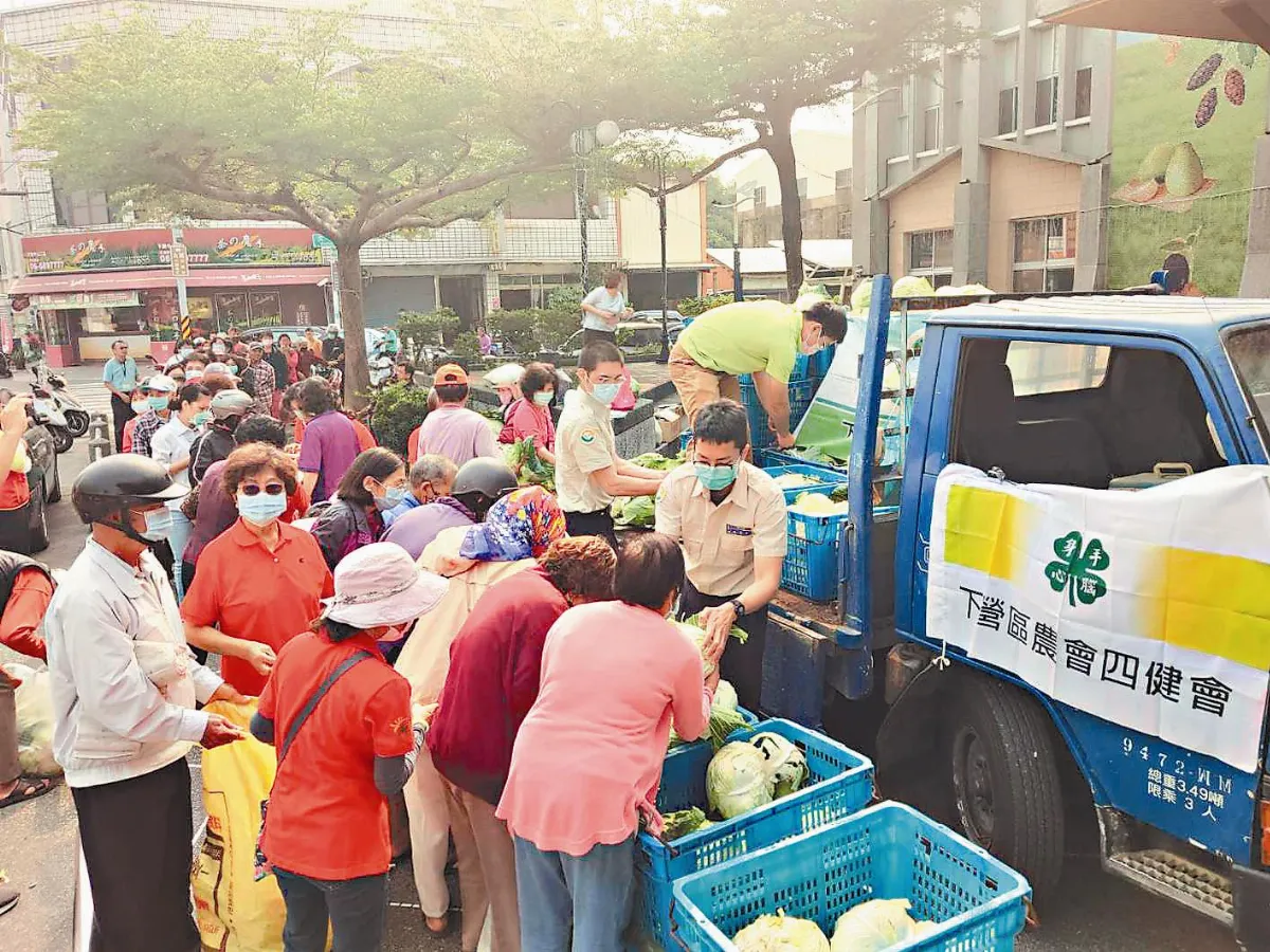 義賣棄單高麗菜 500顆秒殺