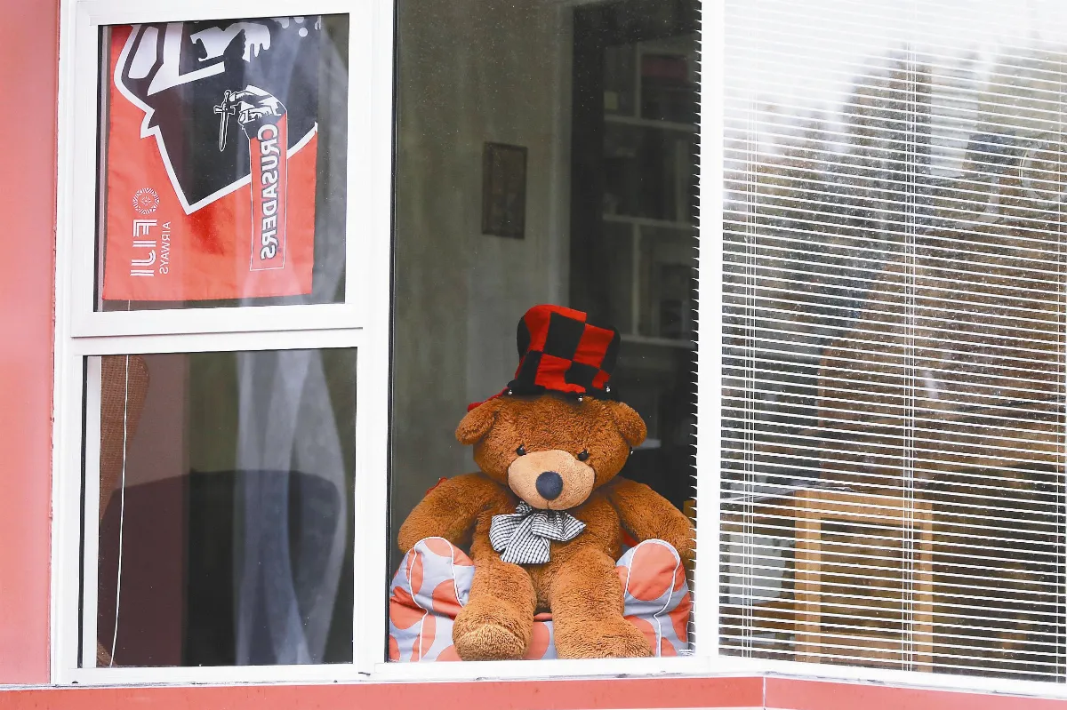 紐西蘭幽默防疫 捉熊遊戲讓禁足變好玩