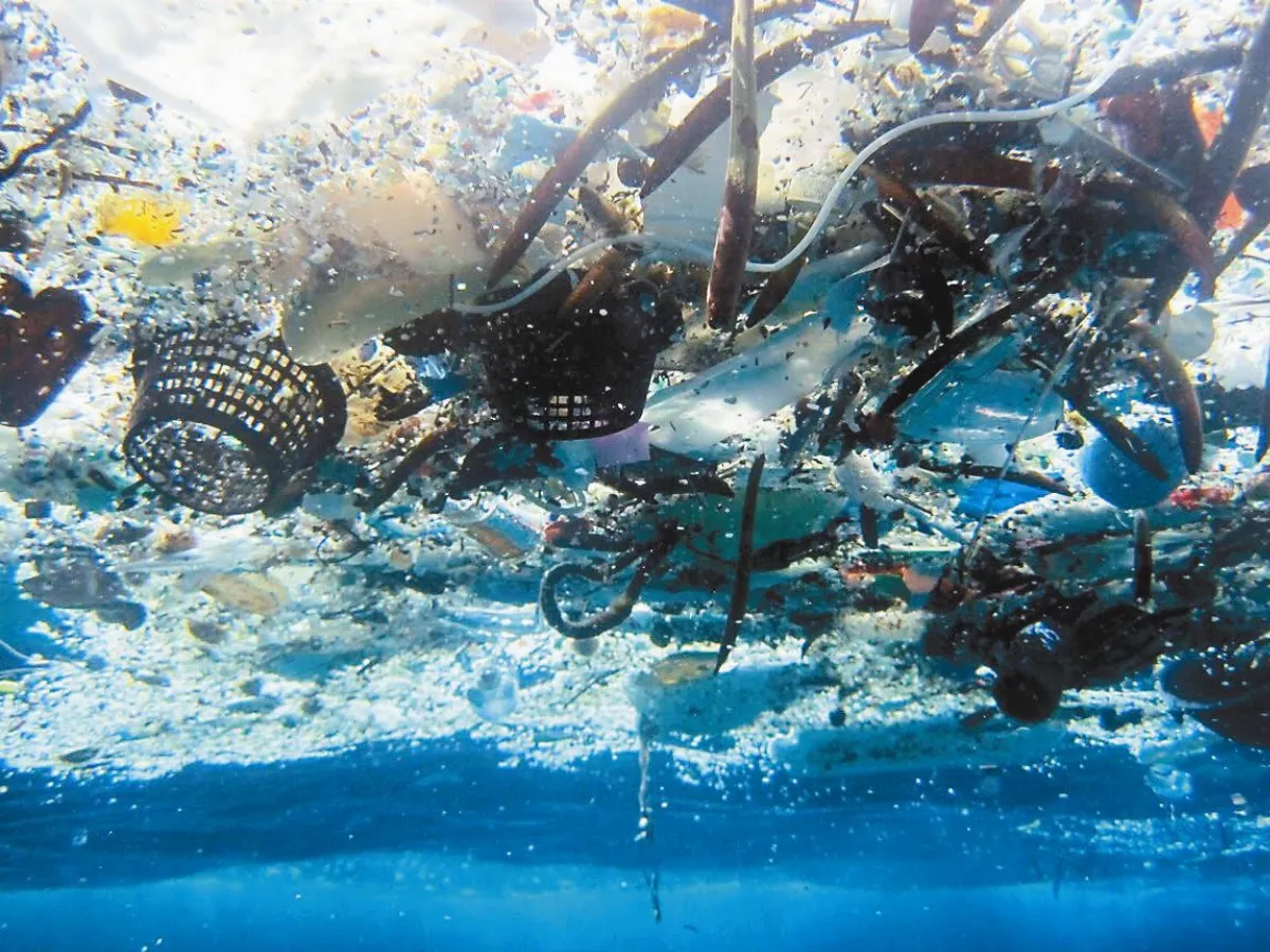 9成海洋垃圾   留在沿海地帶