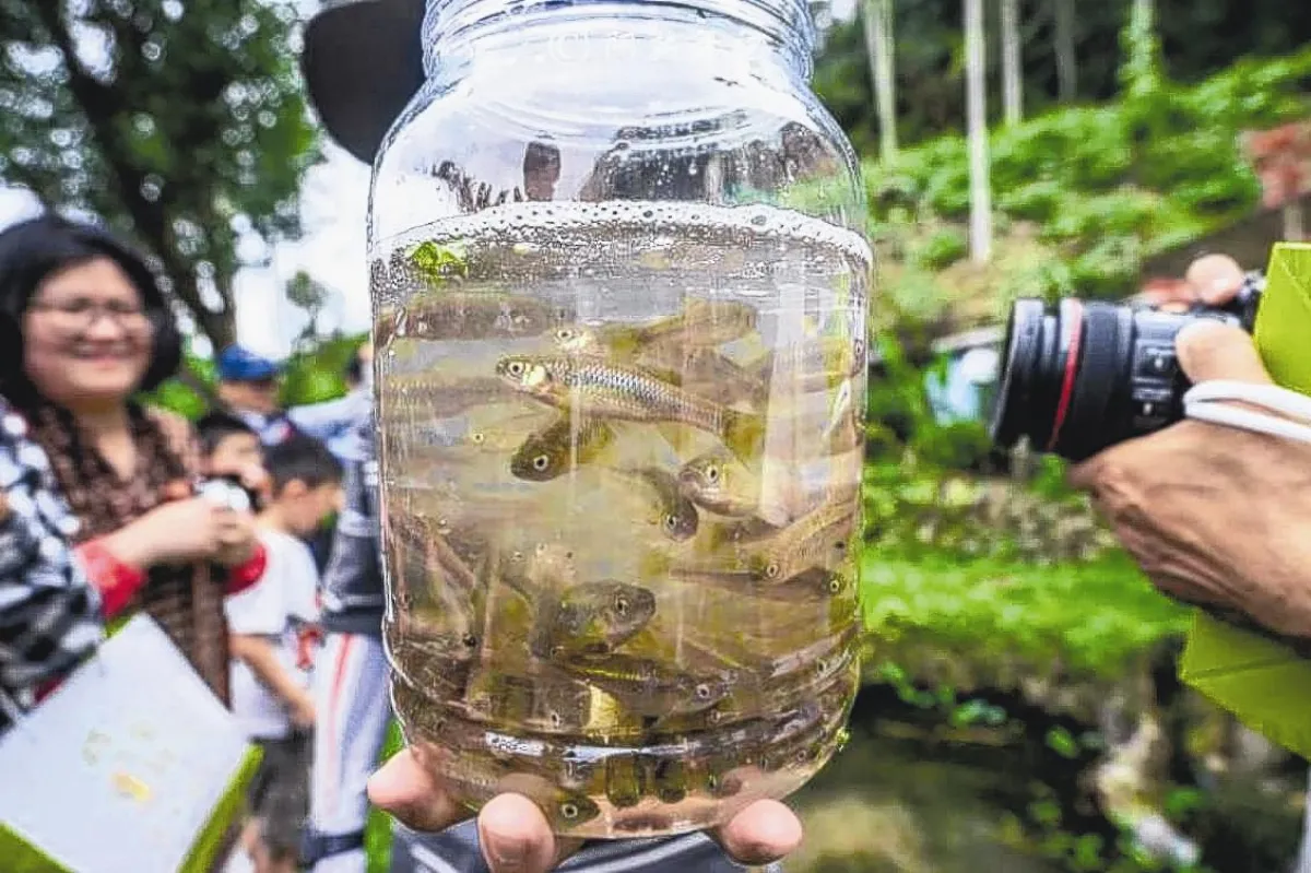 保育白魚 擬比照石虎給獎勵