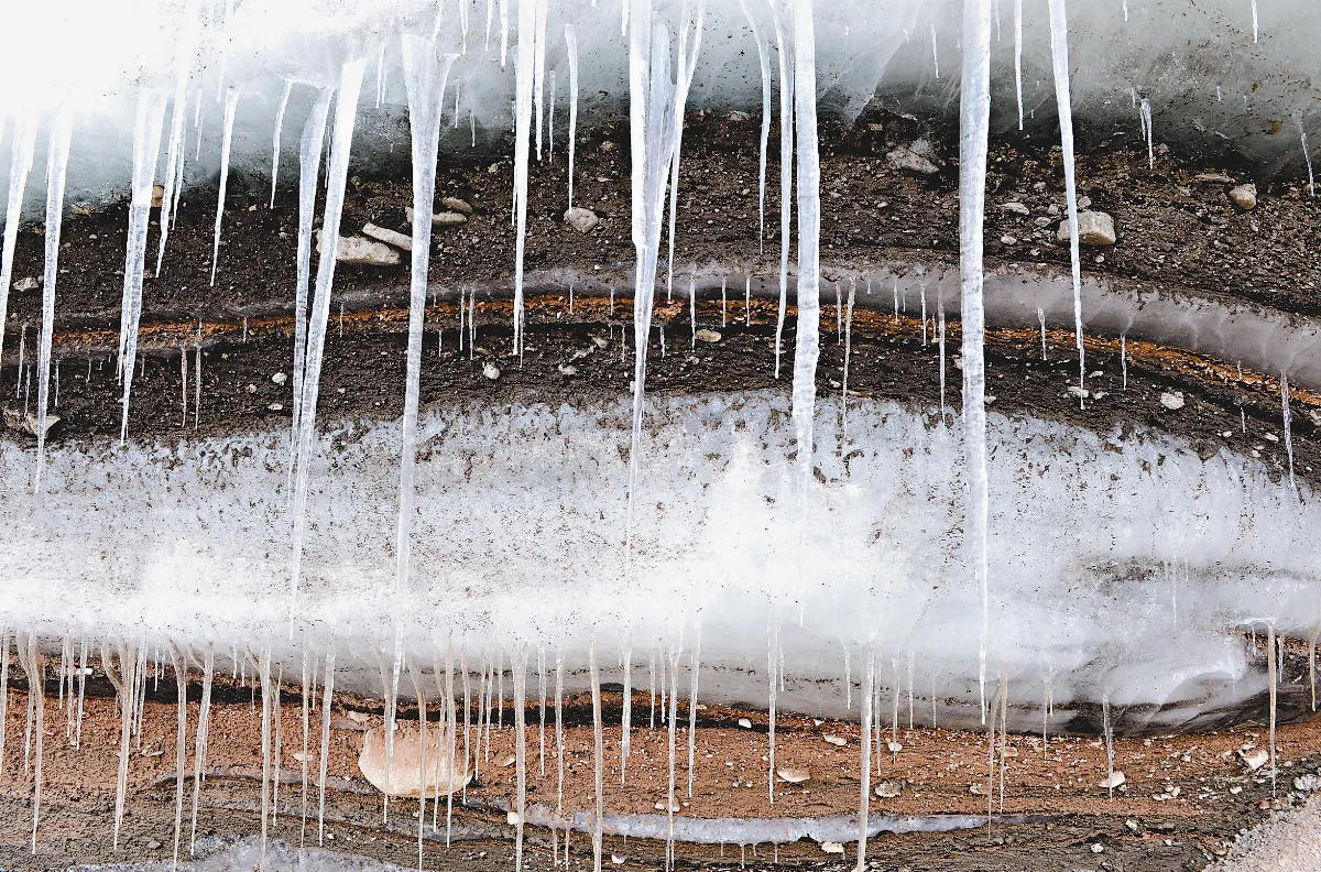 是誰敲開病毒膠囊  冰川融化 拉近與病毒的距離