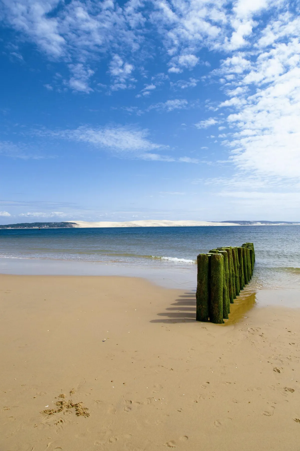 般若心經的生活觀 透過故事讀心經 下卷 8 有無大小都好就擁有美妙的世界