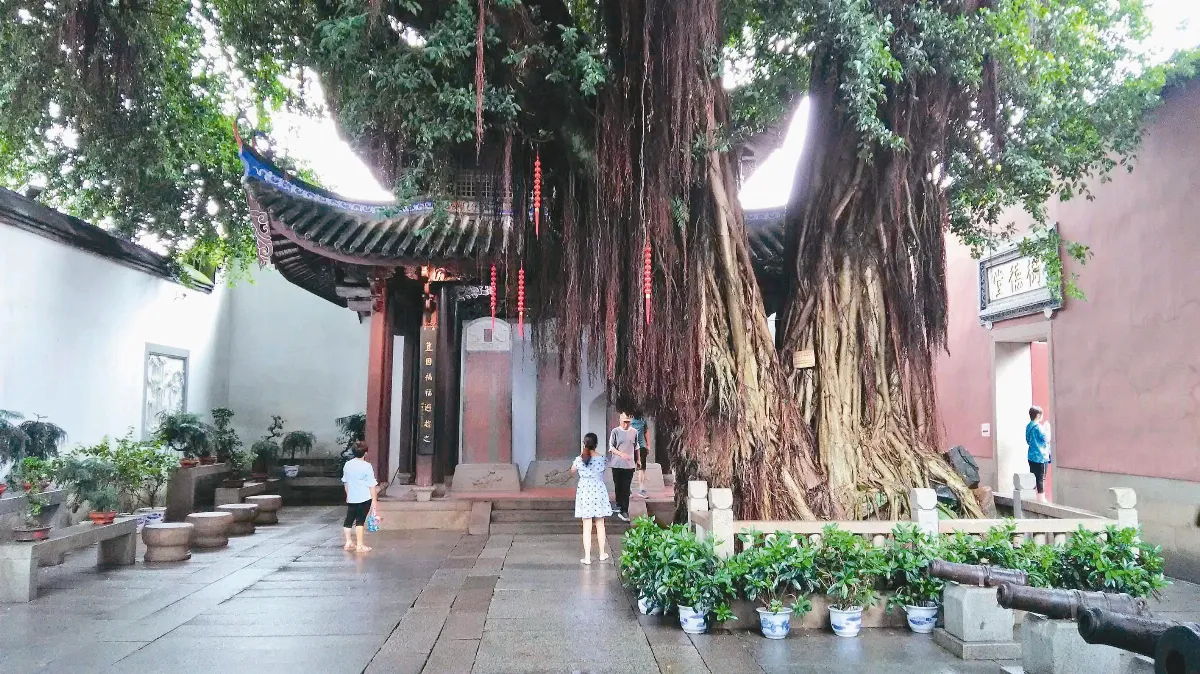 【大江南北】 林則徐紀念館（下）