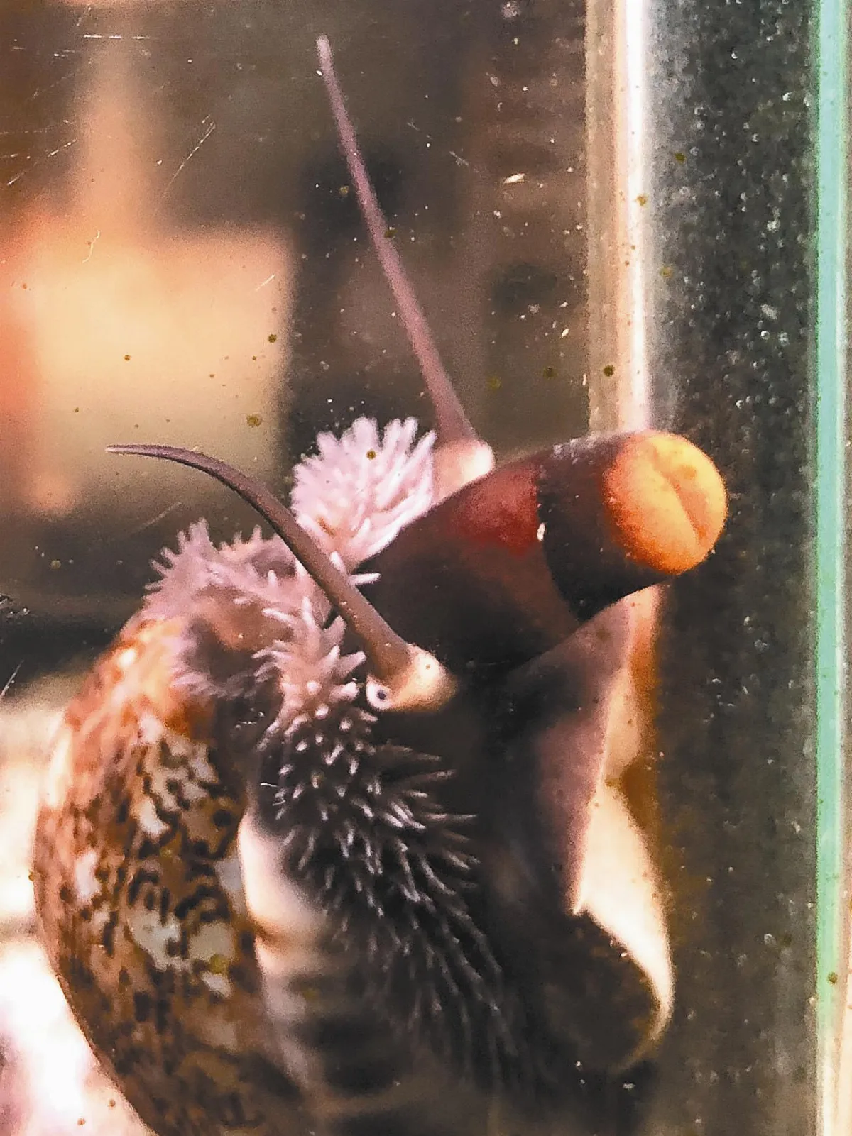 認識海邊  漂亮寶貝