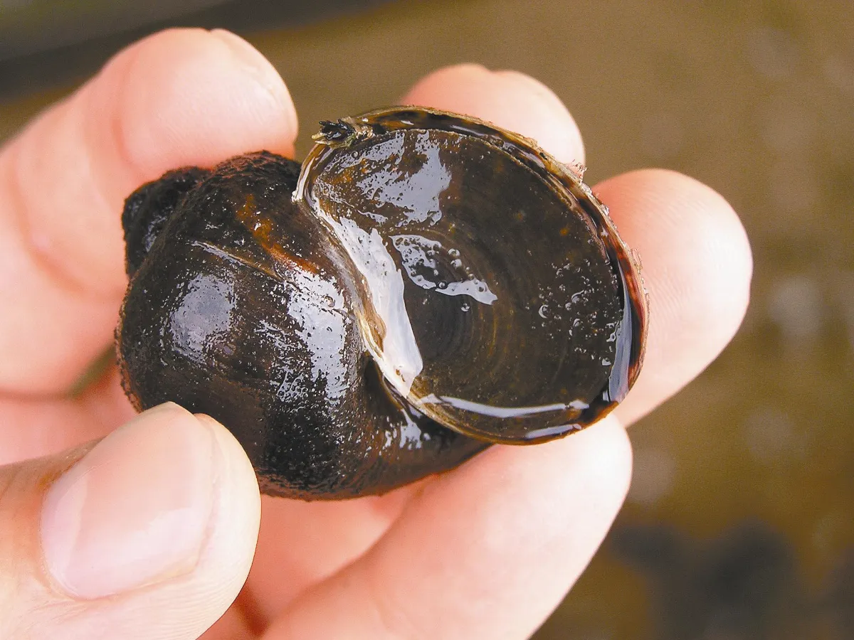 認識海邊  漂亮寶貝