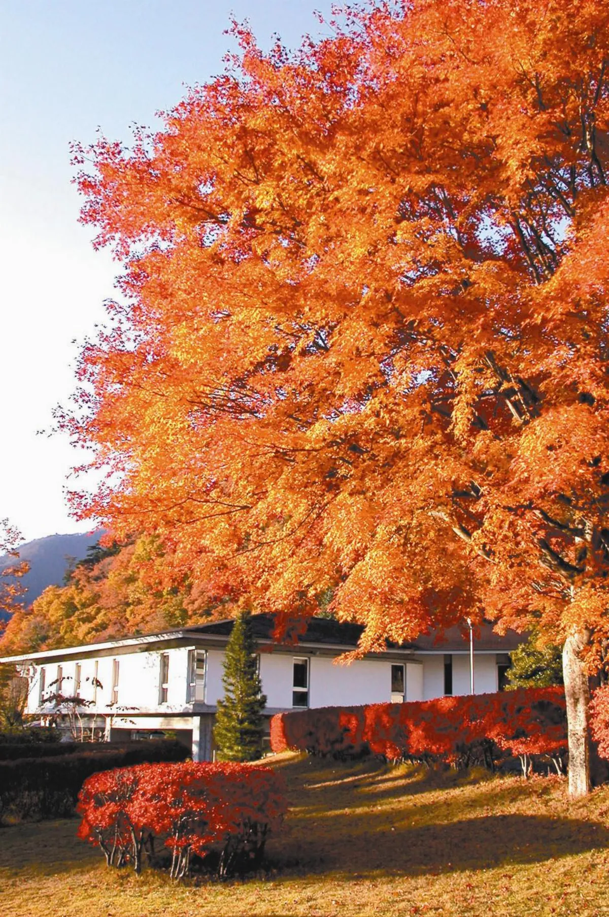 隨堂開示錄-講座論壇 12  當代宗教的實踐與發展 3-2
