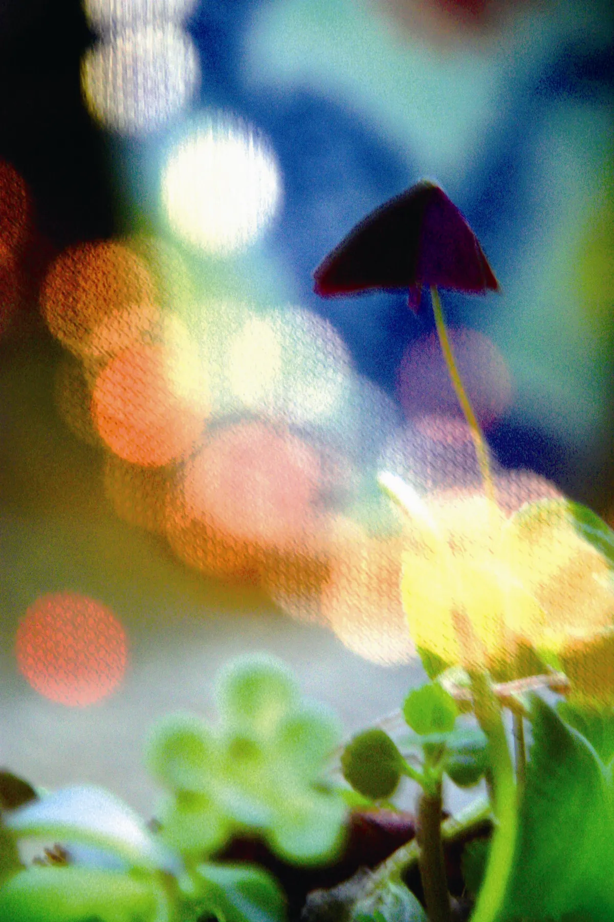 般若心經的生活觀 透過故事讀心經  下卷⑨ 心力堅強 帶給身體健康