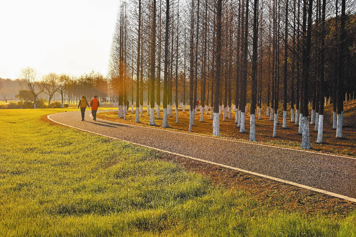 隨堂開示錄-講座論壇 13  法治與人情 5-2