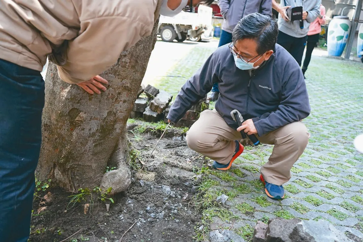 樹醫劉東啟 6年救550樹