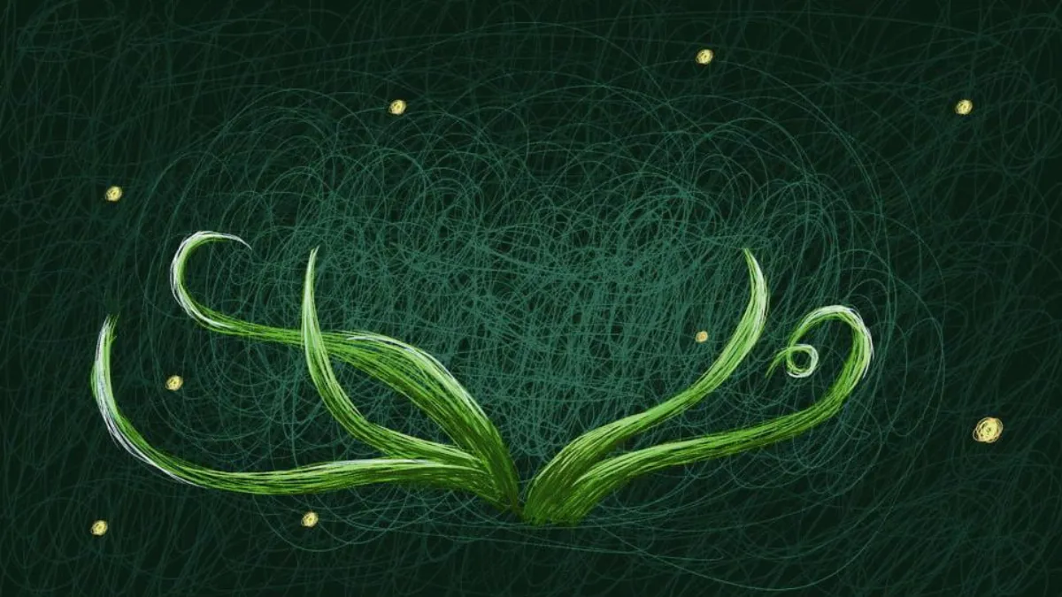 春夏時節  流螢閃爍水草間