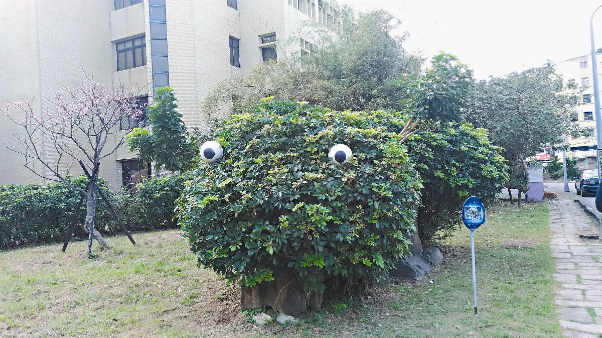 生活快門  多了兩眼便不同