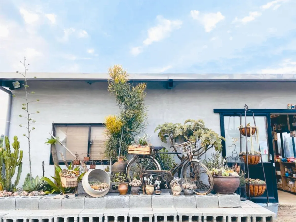 平鎮多肉植物園 讓人組盆栽