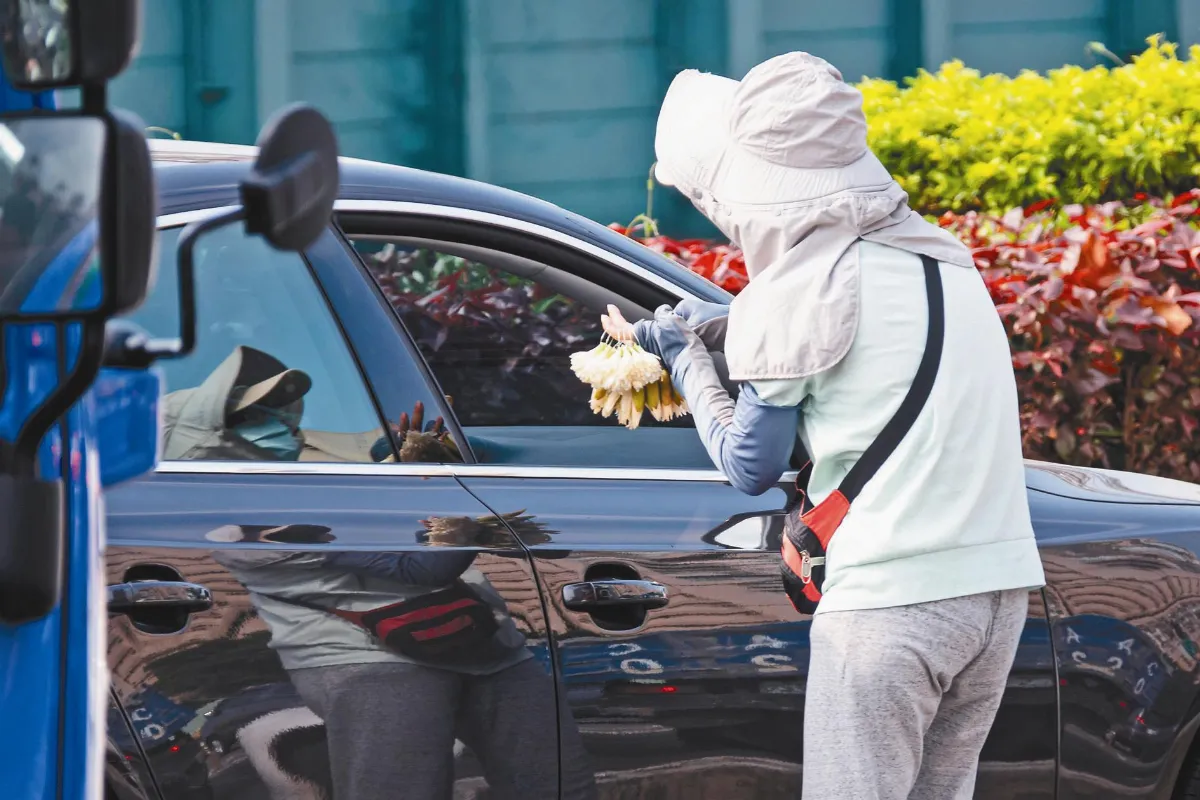 萬元紓困 爆玉蘭花之亂