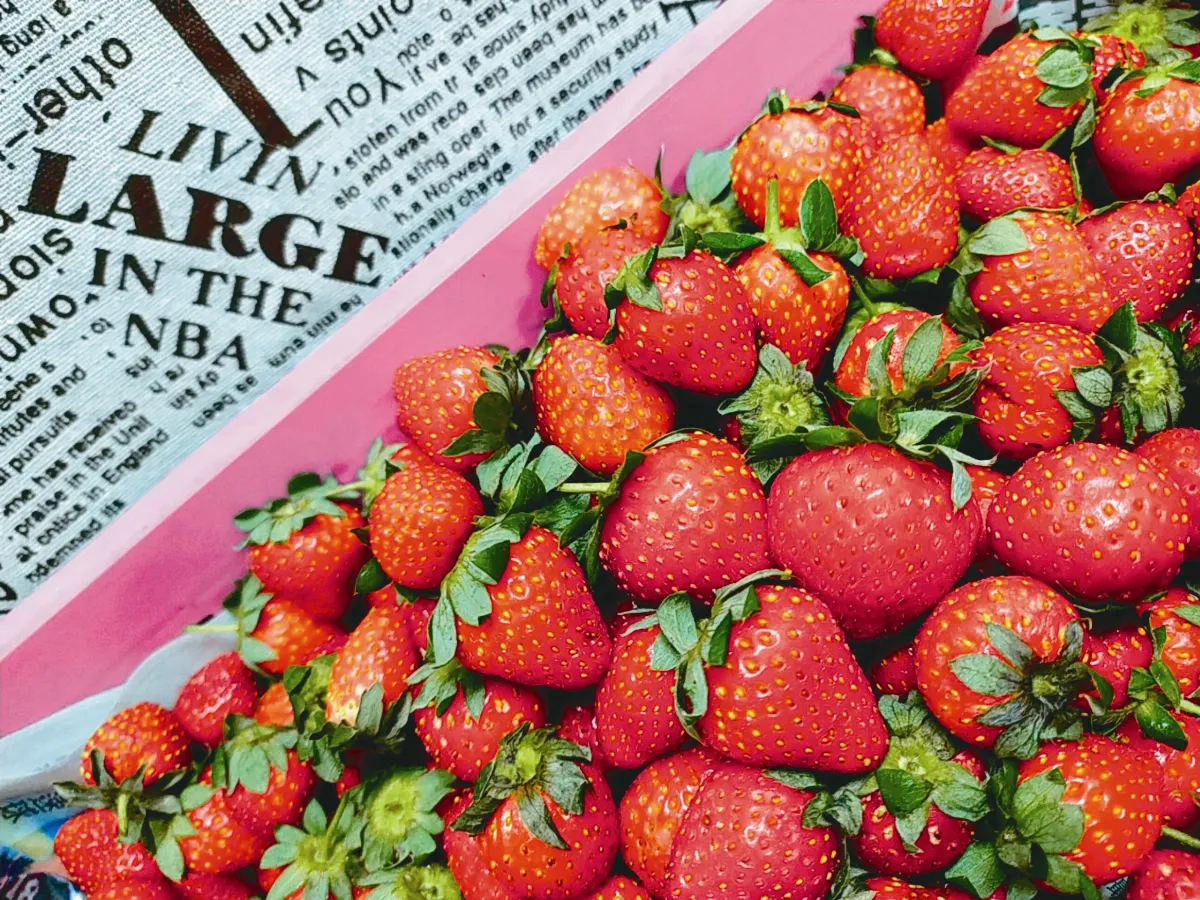 晶食堂 夏日繽紛感 草莓果醬