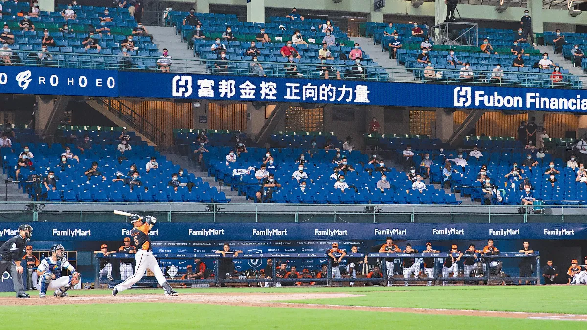 球迷體驗梅花座 中職領先全球 開放觀眾