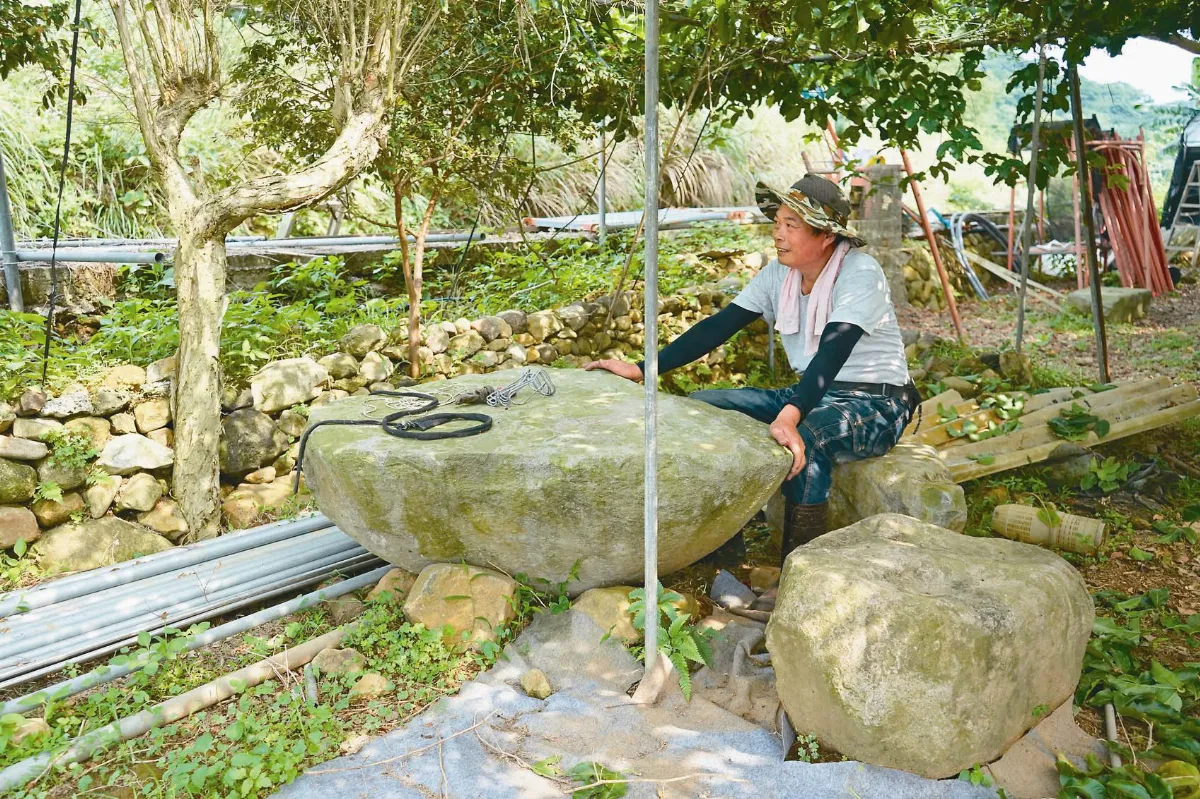 遵母遺願 孝子轉職有機農