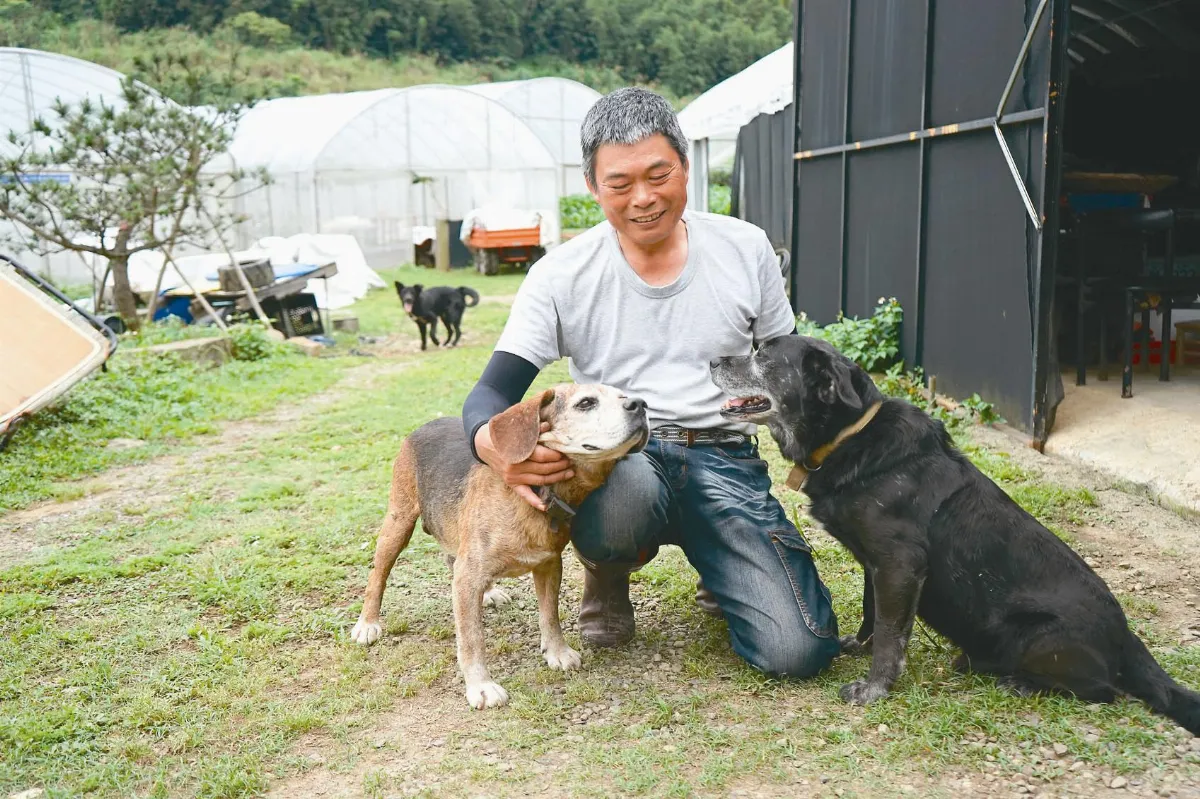 遵母遺願 孝子轉職有機農