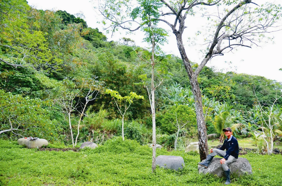 買山種樹 為野生動物開餐廳