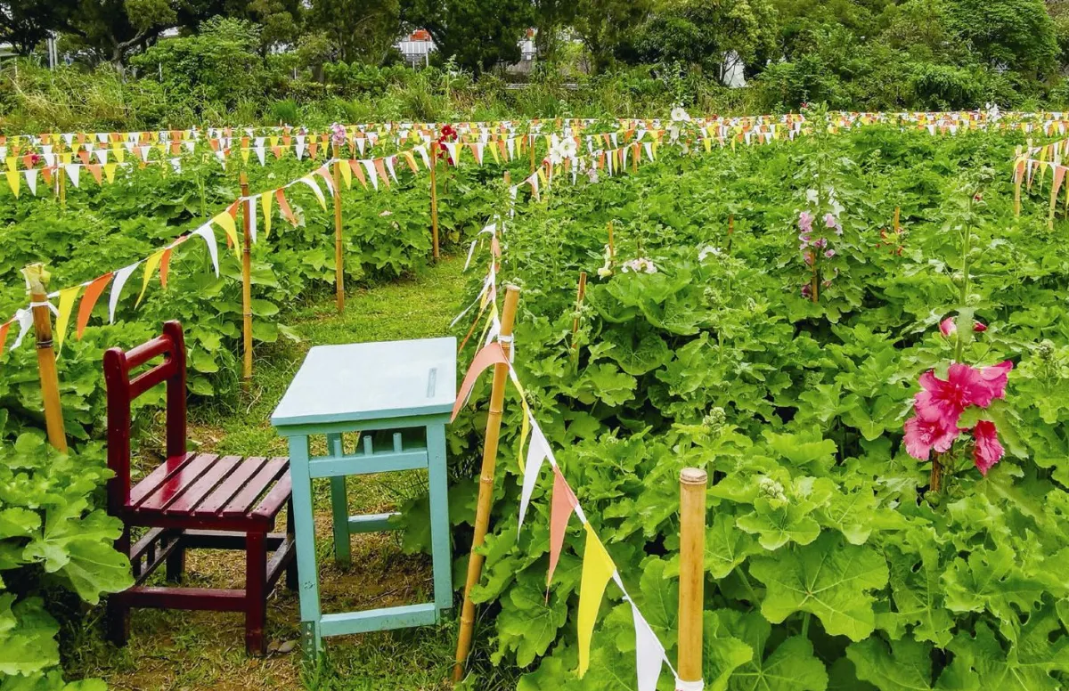 生活快門 在自然中學習