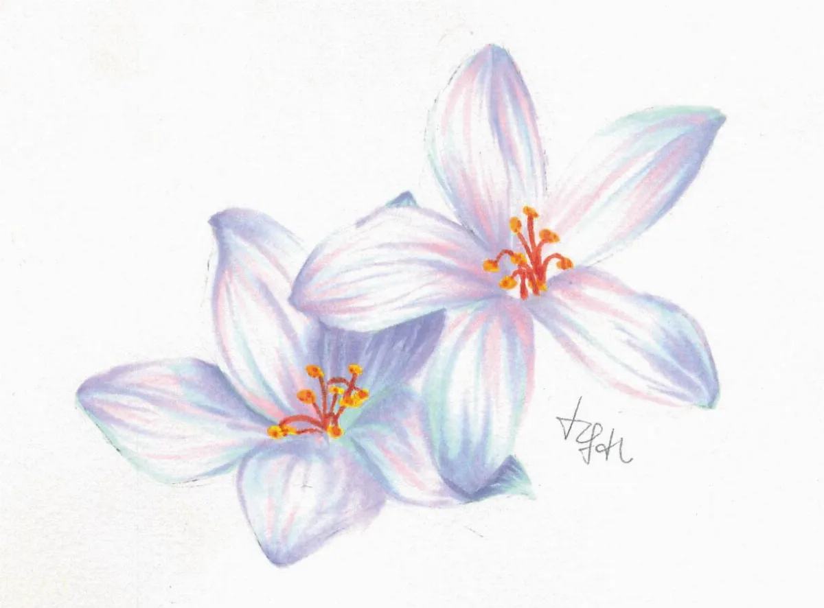 高中生日記  說走就走宜蘭行