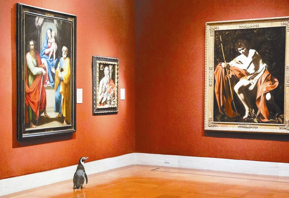 博物館驚魂夜  企鵝當主角