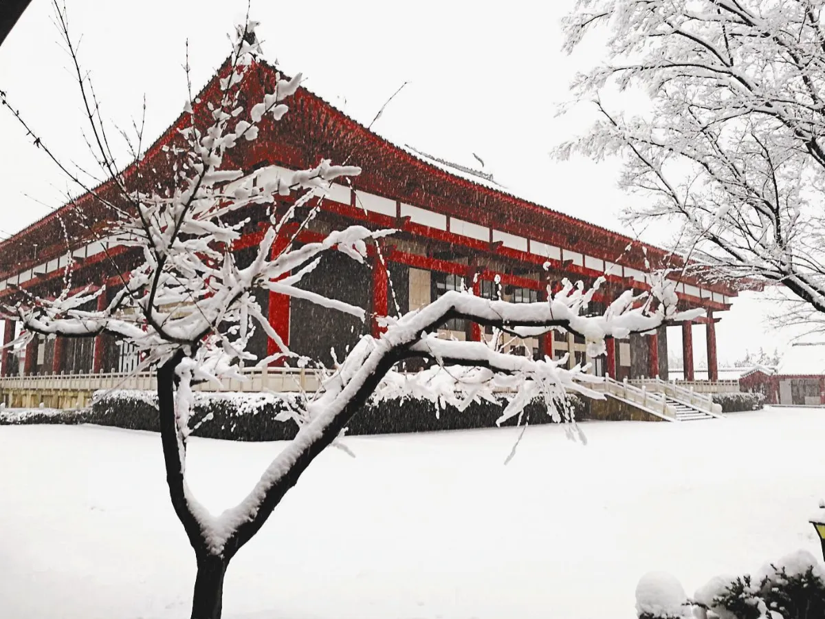 隨堂開示錄-講座論壇 20花如常3-2