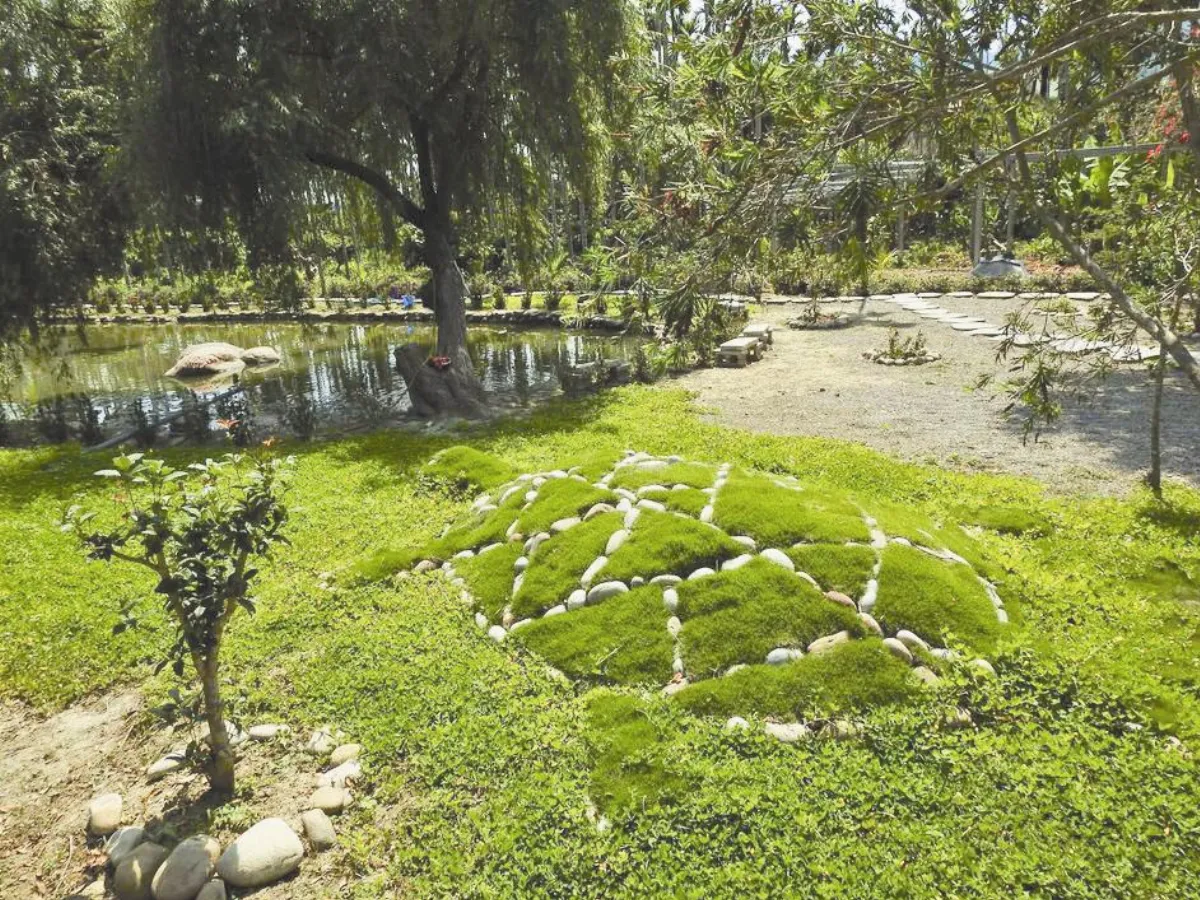 打造生態公園 福龜居民玩創意