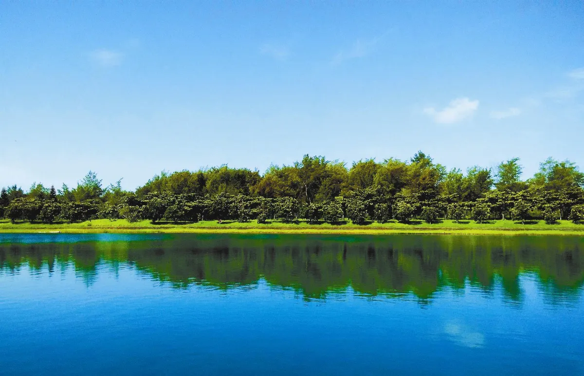 【生命畫語】寧夏