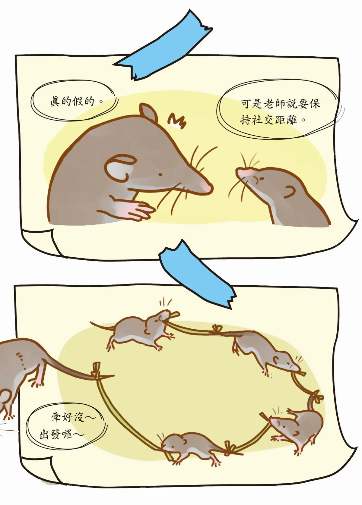 玉子手札  安全社交距離