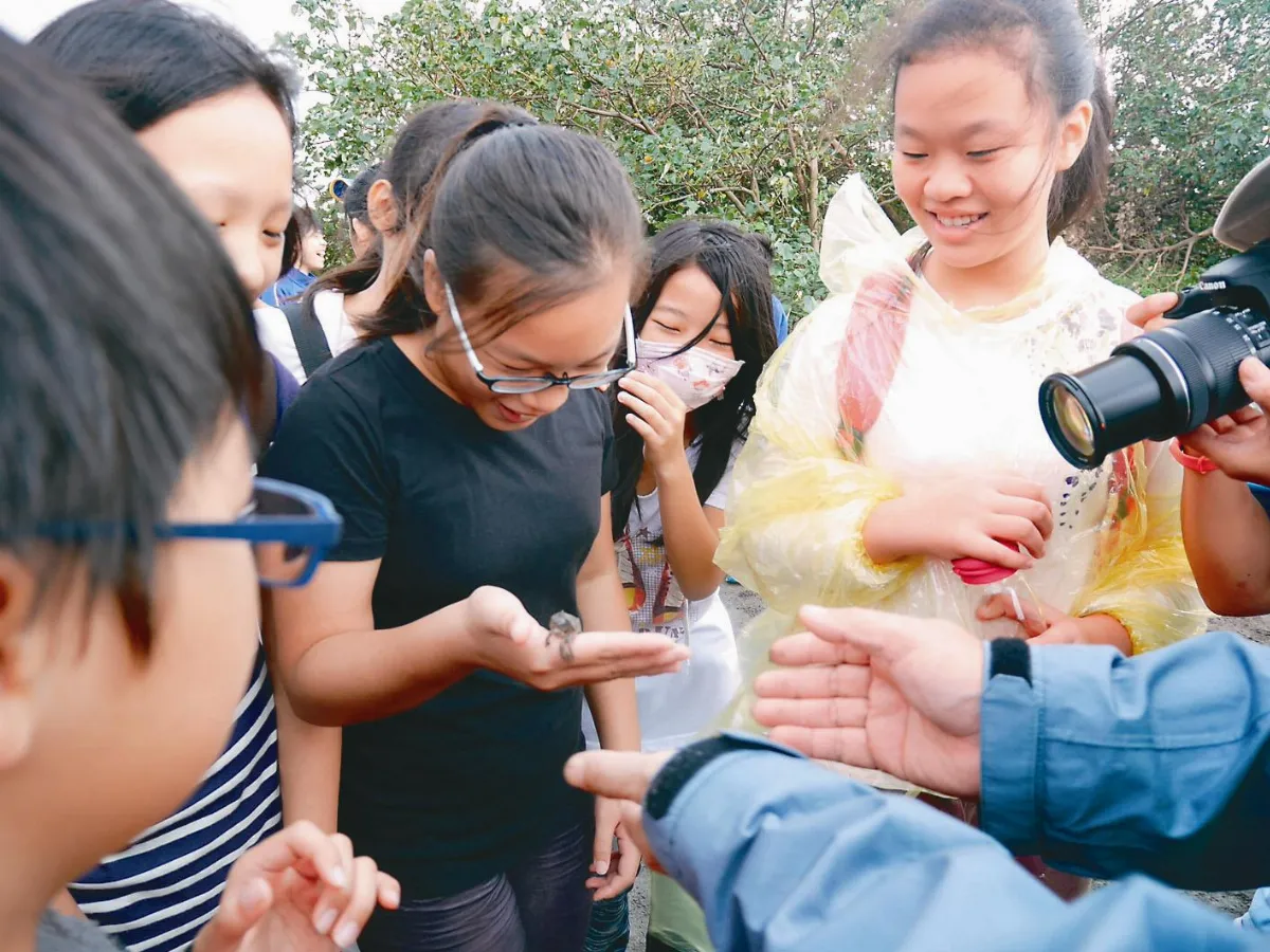 學童拍攝大地 鳳蝶、螃蟹都是驚喜
