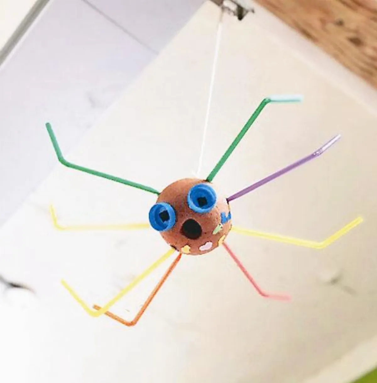 小故事家 大海蜘蛛